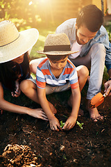 Image showing Dad, mother or child learning to plant in garden for sustainability, agriculture or farming as a family. Father, mom or parents gardening, planting or teaching a young kid agro growth in environment