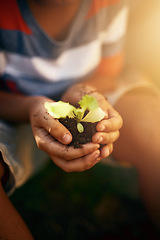 Image showing Hands of kid, soil or learning to plant in garden for sustainability, agriculture care or farming development. Backyard, natural growth or closeup of child hand holding sand or planting for agro