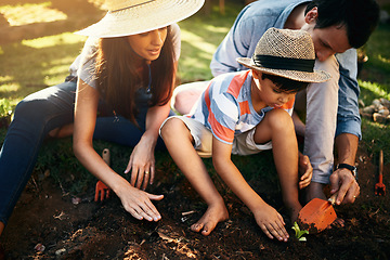 Image showing Family learning with plants in garden for sustainability, agriculture and care outdoor. Father, mother or parents gardening with child in sand, soil and teaching kids of growth in natural environment