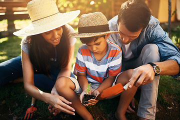 Image showing Father, mother or kid learning to plant in garden for sustainability, agriculture or farming as a family. Dad, mom or parents gardening, planting or teaching a boy child agro growth in environment