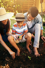 Image showing Father, mother or child learning to plant in garden for sustainability, agriculture or farming as a family. Dad, mom or parents gardening, planting or teaching a boy agro growth in home environment