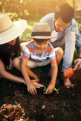 Image showing Dad, mother or teaching a child to plant in family garden for sustainability, agriculture or farming. Father, mom or kid learning growth in environment for eco friendly gardening or planting at home