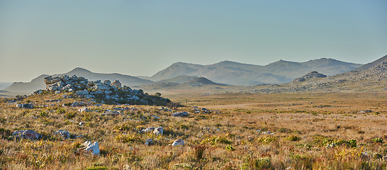 Image showing Mountains, grass and space with field in park for landscape, environment or flowers. Bush, summer and wilderness with reserve in Cape Town ecology for floral habitat, sustainability and nature mockup