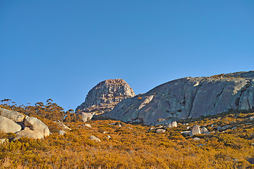 Image showing Nature, mountain and rock with field in park for landscape, environment and flowers. Bush, summer and wilderness with reserve in Cape Town ecology for floral habitat, sustainability and mockup space