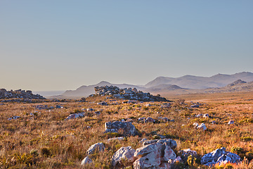 Image showing Nature, mountain and sunset with field in park for landscape, environment or flowers. Bush, summer and wilderness with reserve in Cape Town ecology for floral habitat, sustainability and mockup space