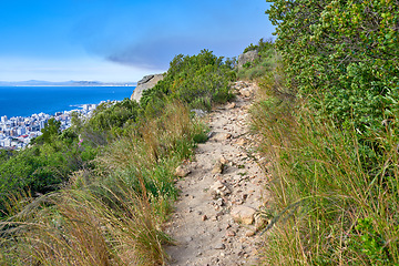 Image showing Nature, hiking trail and greenery on a mountain for outdoor travel adventure in South Africa. Landscape, hill and gravel path for trekking journey with green trees, grass or plants in woods or forest