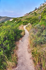 Image showing Nature, hiking trail and plants on a mountain for an outdoor travel adventure in South Africa. Landscape, hill and gravel path for trekking journey with green trees in the scenic woods or forest.