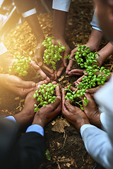 Image showing Plants, hands and group of people for gardening, agriculture or sustainable startup, teamwork and business growth. Palm, plant and women and men above for sustainability, agro project and nonprofit