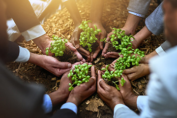 Image showing Palm, plants and group of people gardening, agriculture or sustainable startup, teamwork and business growth support. Hands, plant and person in circle of nonprofit, sustainability and soil on ground