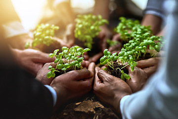 Image showing Plants, hands and group of people for business growth, agriculture or sustainable garden, teamwork and startup. Palm, plant and circle of women and men with sustainability, agro project or investment