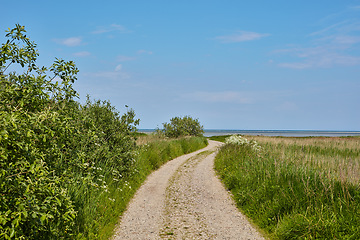 Image showing Dirt road, path and green grass in the countryside for travel, agriculture or natural environment. Landscape of lush plant growth, greenery or farm highway with blue sky for sustainability in nature