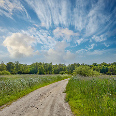 Image showing Dirt road, path and grass with blue sky in the countryside for travel, agriculture or natural environment. Landscape of plant growth, greenery or farm highway with trees for sustainability in nature