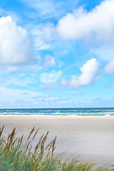 Image showing Blue sky, beach and landscape, nature and travel with environment and coastal location in Denmark. Fresh air, tropical and land with seaside destination and ocean view, outdoor and natural scenery