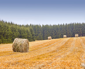 Image showing Farm, agriculture and landscape, nature and hay bales with environment and farming location in Denmark. Fresh air, harvest and countryside with destination and straw field outdoor with farmland