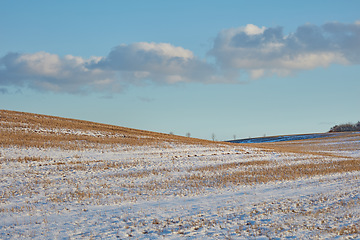 Image showing Snow covered grass in field, farm or countryside on blue sky and clouds, agriculture or nature background. Global warming, drought and grass in Germany for sustainable landscape or climate change