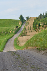 Image showing Road, path in countryside and landscape with travel, farm land in Denmark with nature and environment. Journey, green and agriculture location, rural drive way and natural scenery with farming field