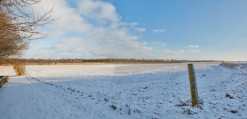 Image showing Snow, field and landscape with nature and outdoor, environment with winter and location in Denmark. Cold, fresh air and natural scenery with Earth, eco and destination with ice meadow and weather