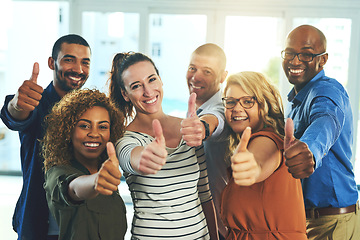 Image showing Collaboration, thumbs up and portrait of staff with diversity, like and thank you sign of business people. Office, happiness and success of group with support, teamwork and motivation for company