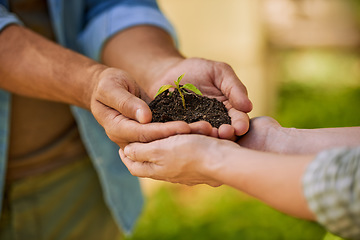 Image showing Plants, hands and teamwork of people for eco friendly growth, sustainability support and agriculture. Sapling soil, farmer with partner palm for sustainable gardening, nonprofit or earth day closeup