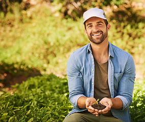 Image showing Plant, hands and man in portrait with eco friendly growth, sustainability and green agriculture or small business. Sapling soil, person palm and sustainable gardening, farming or earth day project