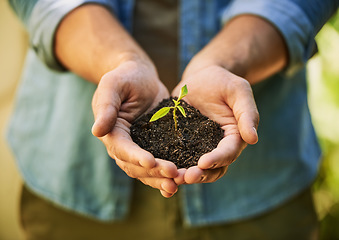 Image showing Plants, hands and farmer or man with eco friendly growth, sustainability and green, agriculture or small business. Sapling soil, person palm and sustainable gardening, nonprofit or earth day project