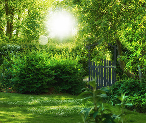 Image showing Garden, green and landscape with environment and nature, grass and leaves with flowers, foliage and landscaping. Natural scene, botanical and gardening with meadow, greenery outdoor and Spring