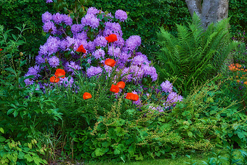 Image showing Garden, flowers and landscape with environment and nature, green grass and leaves with foliage and landscaping. Natural scene, botanical and gardening with meadow, greenery outdoor and spring plants