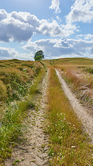 Image showing Dirt, path with countryside and travel, green and nature with direction, destination and open field. Blue sky, land and drive way with road through grass, journey and traveling view with environment