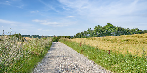 Image showing Countryside, road and path to drive on farm, forest or landscape with trees on horizon or travel in rural dirt roadway. Pathway, journey in farmland or asphalt line in grass fields and nature