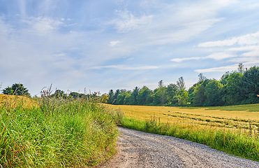 Image showing Dirt, road with country landscape and travel, green and nature with direction, destination and open field. Blue sky, land and drive way with path through grass, journey and view while travelling