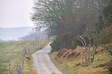 Image showing Road, landscape and countryside with travel, green and nature with direction, destination and outdoor. Land, drive way with path through trees, journey and traveling view with environment and farm