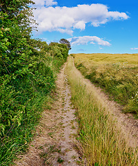 Image showing Road, path and countryside with travel, green and nature with direction, destination and farm field. Blue sky, land and drive way with grass and bush, journey and traveling view with environment