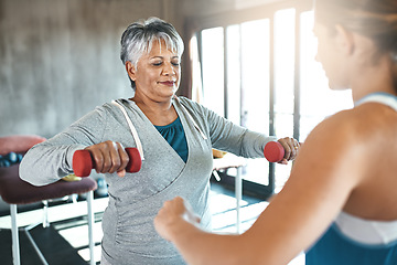 Image showing Coaching, dumbbell and fitness with old woman and personal trainer for support, health or physiotherapy. Training, weightlifting and workout with senior client and female trainer for elderly exercise