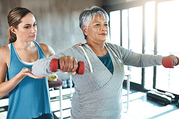 Image showing Physical therapy, dumbbell and help with woman and personal trainer for support, health and physiotherapy. Training, weights and coaching with senior client, physiotherapist or rehabilitation workout