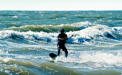 Image showing Silhouette of a kitesurfer on waves of a sea