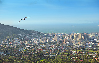 Image showing City, mountains and urban buildings with architecture, infrastructure and development for property expansion. Skyline, cbd and mountain with cityscape, skyscraper and ocean with space in Cape Town