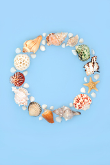 Image showing Seashell Wreath Natural Seaside Art