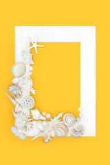 Image showing White Seashell Background Abstract Border Design 