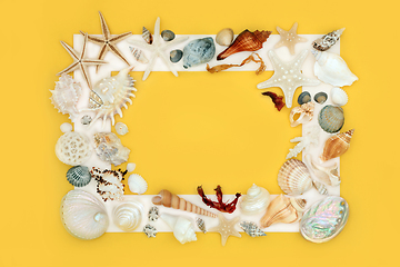 Image showing Seashell and Seaweed Abstract Background Frame