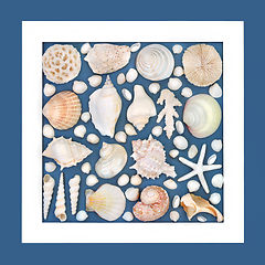 Image showing Natural Seashell Collection Background Design