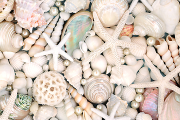 Image showing Large Collection of Beautiful Seashells and Pearls 