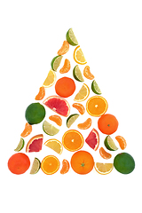 Image showing Surreal Healthy Citrus Fruit Tree Design 