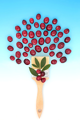 Image showing Cranberry Fruit Fantasy Surreal Paintbrush Design