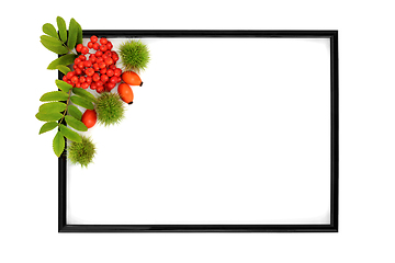 Image showing Autumn Thanksgiving Festive Background Frame