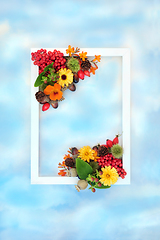 Image showing Autumn Floral Nature Background Border Design  