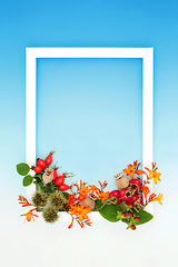 Image showing Vivid Autumn Thanksgiving Festive Nature Background Frame