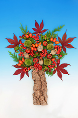 Image showing Surreal Autumn Fall Thanksgiving Abstract Tree Design