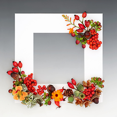 Image showing Thanksgiving Day Floral Autumn Fall Background Border