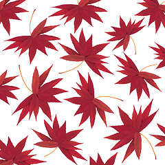 Image showing Autumn Fall Falling Staghorn Sumac Leaves Background Pattern