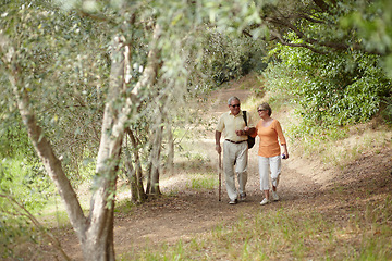 Image showing Hiking, nature and senior couple for fitness, walking stick and retirement exercise, wellness support or path in forest. Elderly people in woods for cardio, travel and health journey or trekking